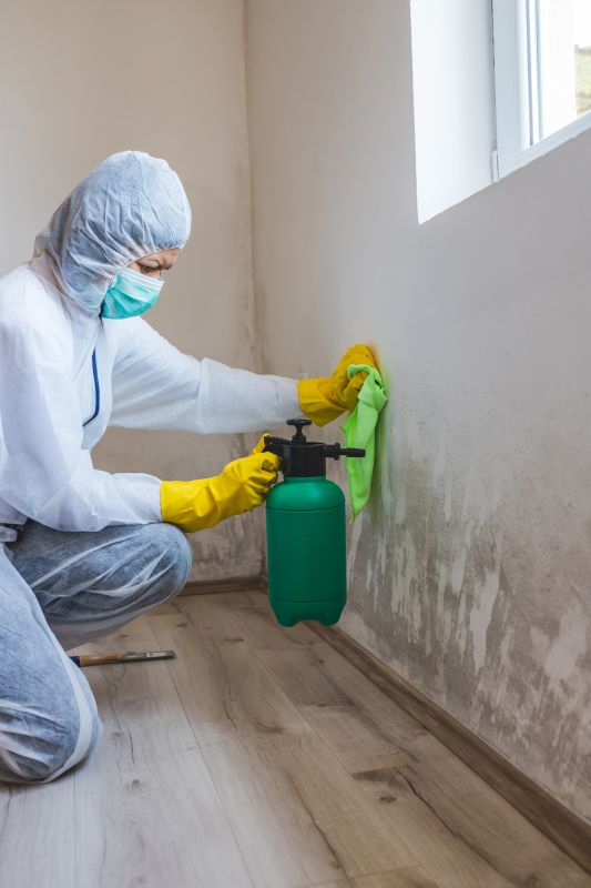 Basement Drying in Phoenix, AZ