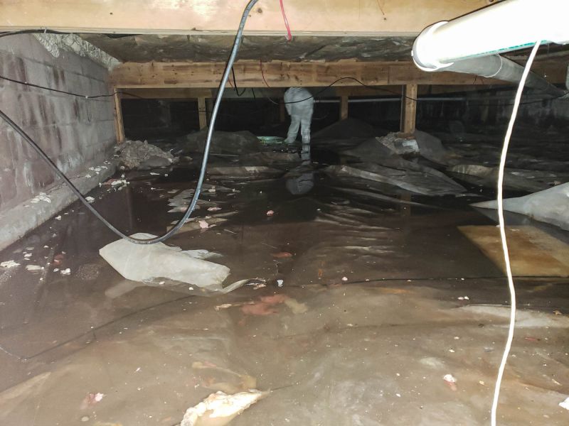 Basement Restoration Service in Mesa, AZ