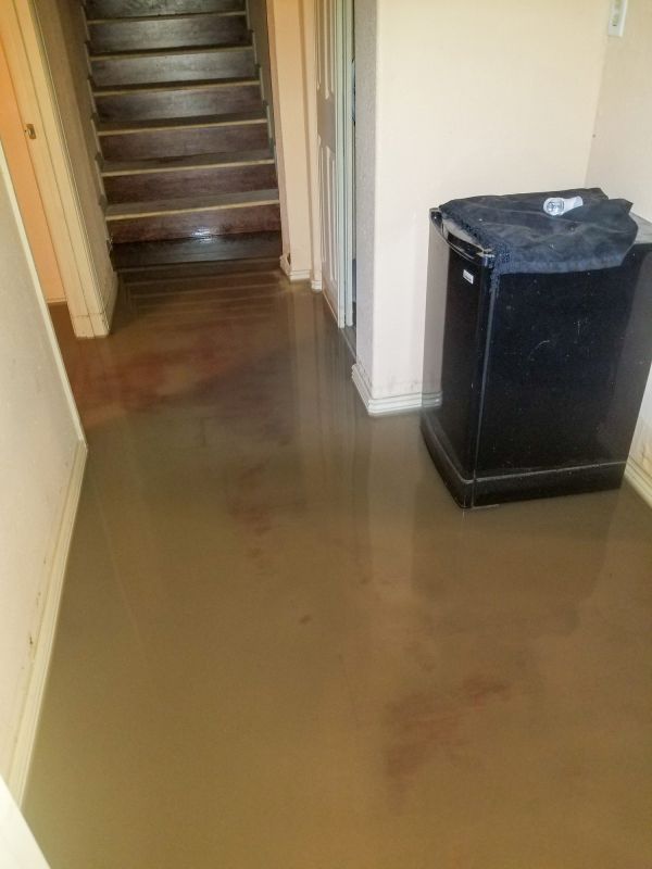 Basement Water Cleanup in Wilmington, NC