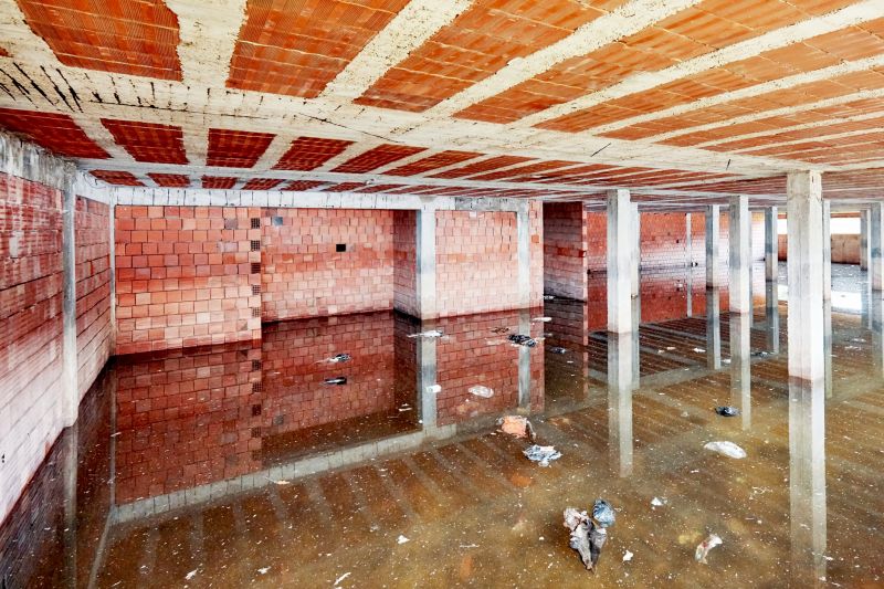Flood Damage Cleanup in Mesa, AZ
