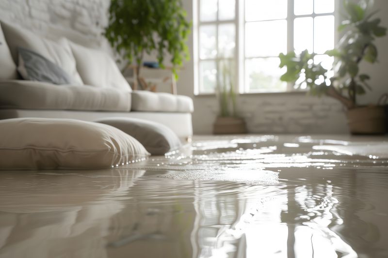 Flood Restoration Service in Scottsdale, AZ