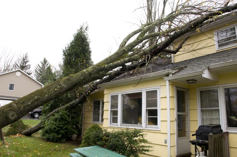 Restoration Service in Overland Park, KS