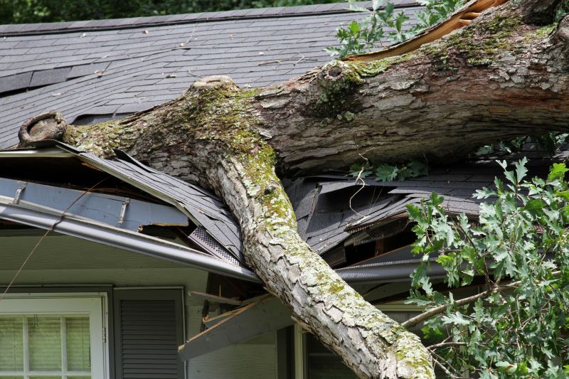 Storm Recovery Service in Wilmington, NC