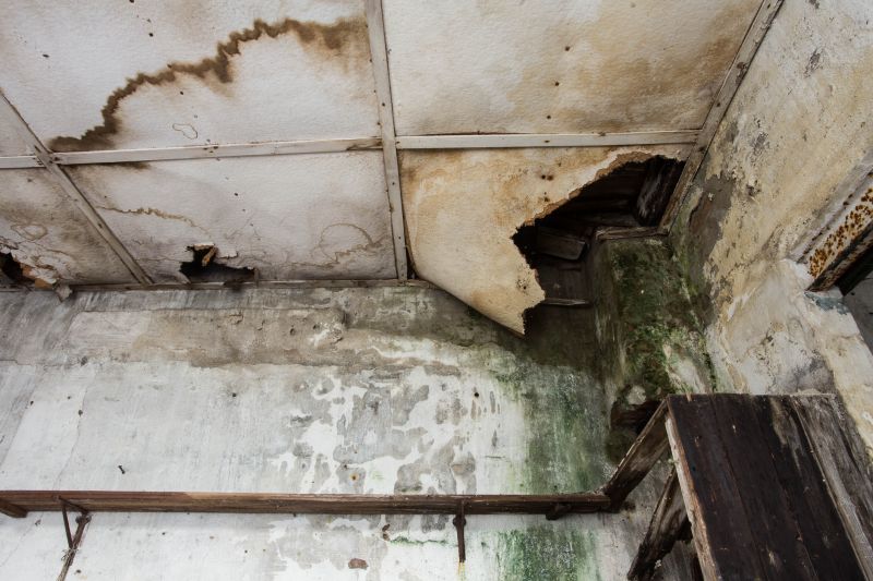 Water Damage Cleanup in Chandler, AZ