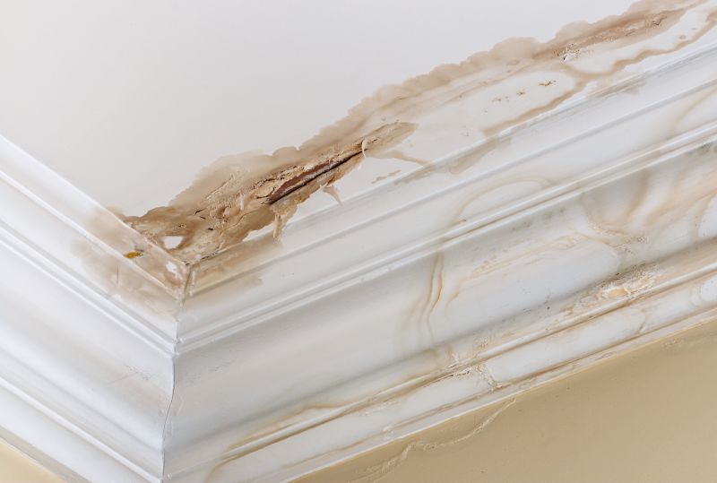 Water Damage Repair in Mesa, AZ