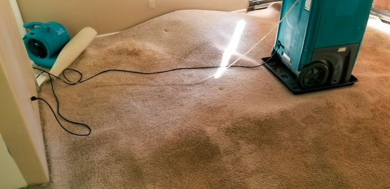 Wet Carpet Restoration in Mesa, AZ