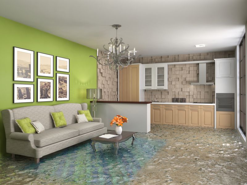 Wet Carpet Restoration in Scottsdale, AZ